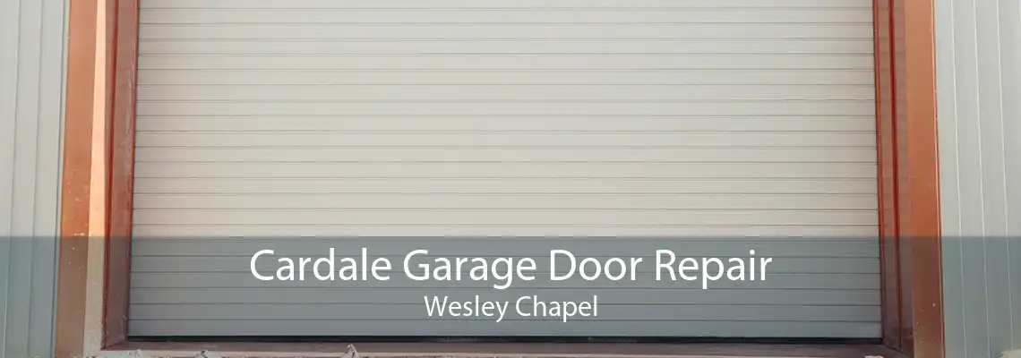 Cardale Garage Door Repair Wesley Chapel