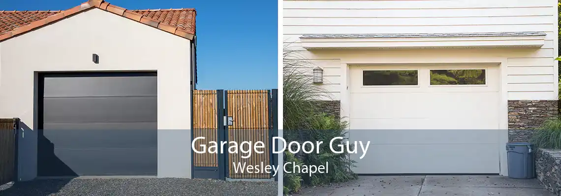 Garage Door Guy Wesley Chapel