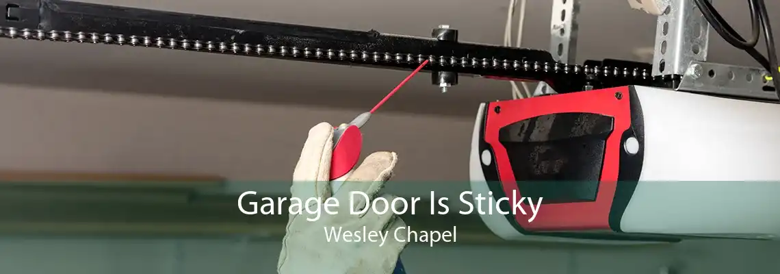 Garage Door Is Sticky Wesley Chapel
