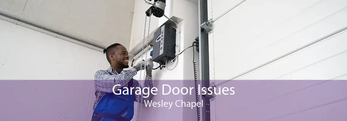 Garage Door Issues Wesley Chapel