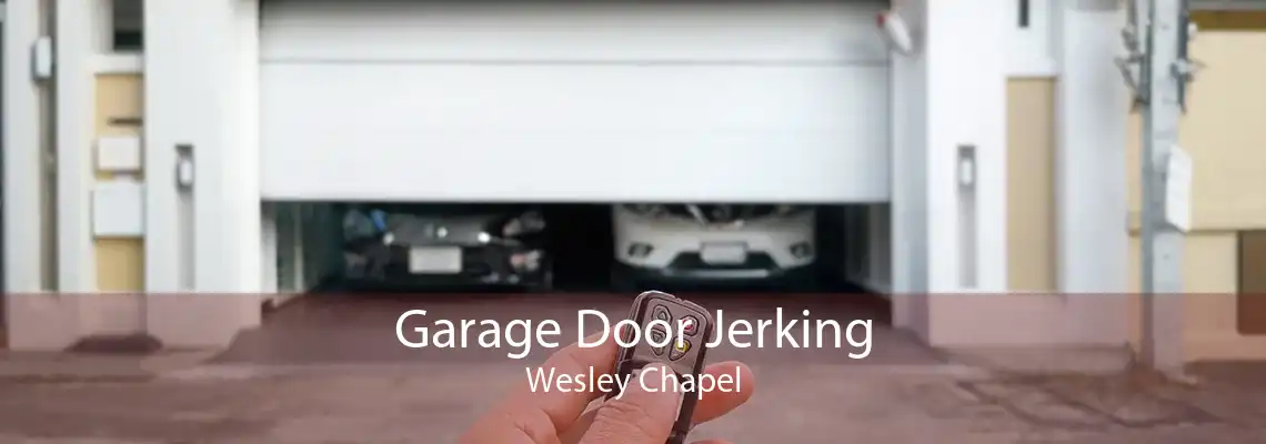 Garage Door Jerking Wesley Chapel