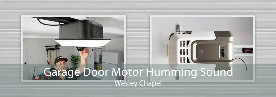 Garage Door Motor Humming Sound Wesley Chapel