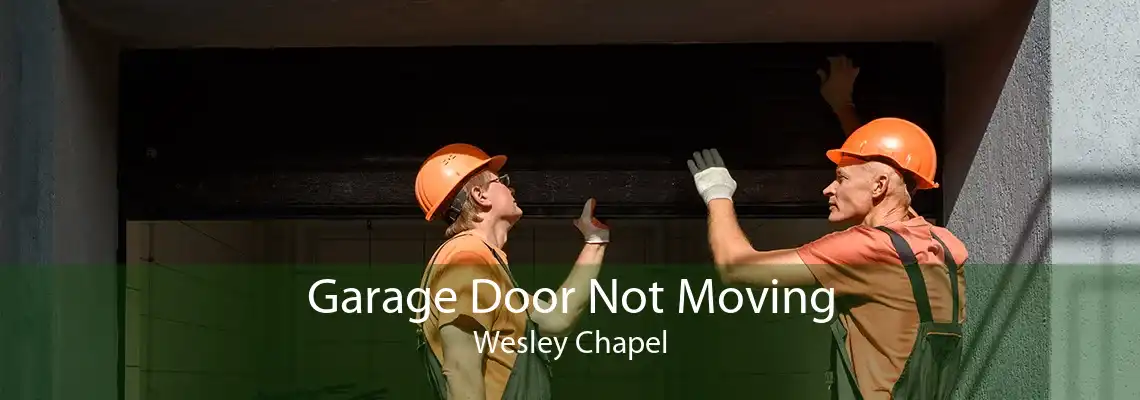 Garage Door Not Moving Wesley Chapel