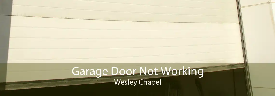 Garage Door Not Working Wesley Chapel