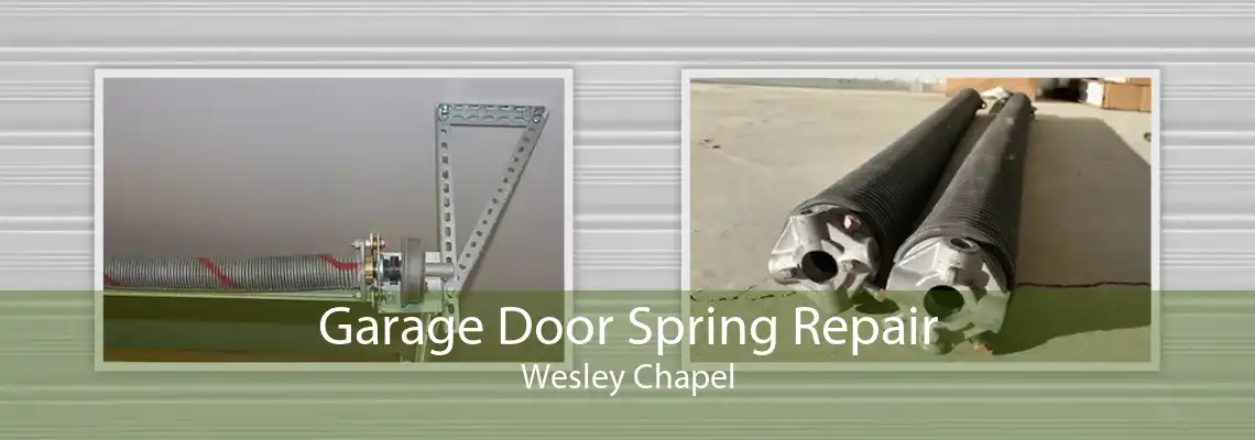 Garage Door Spring Repair Wesley Chapel