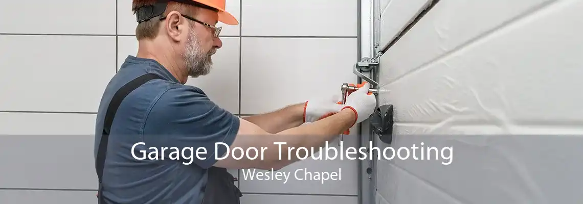 Garage Door Troubleshooting Wesley Chapel