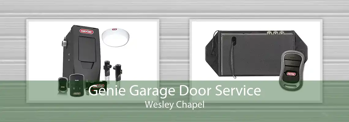 Genie Garage Door Service Wesley Chapel