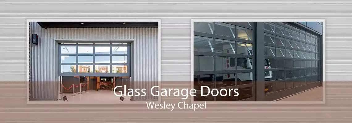 Glass Garage Doors Wesley Chapel