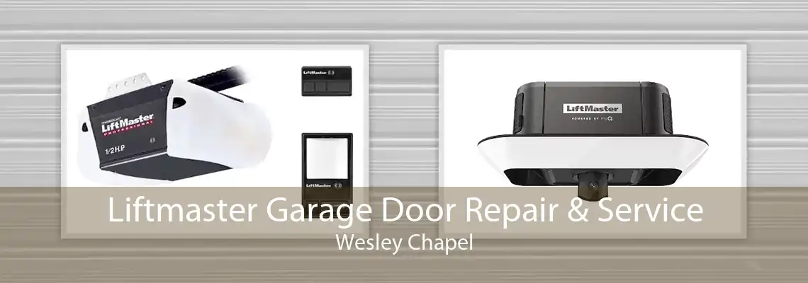 Liftmaster Garage Door Repair & Service Wesley Chapel
