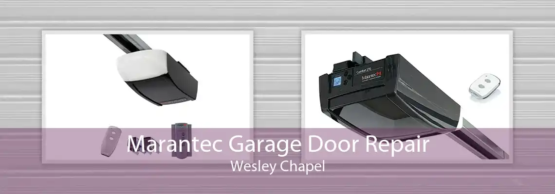 Marantec Garage Door Repair Wesley Chapel