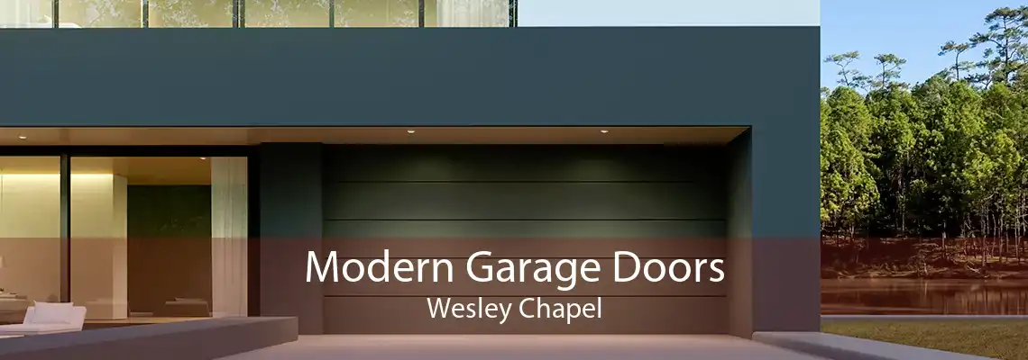 Modern Garage Doors Wesley Chapel