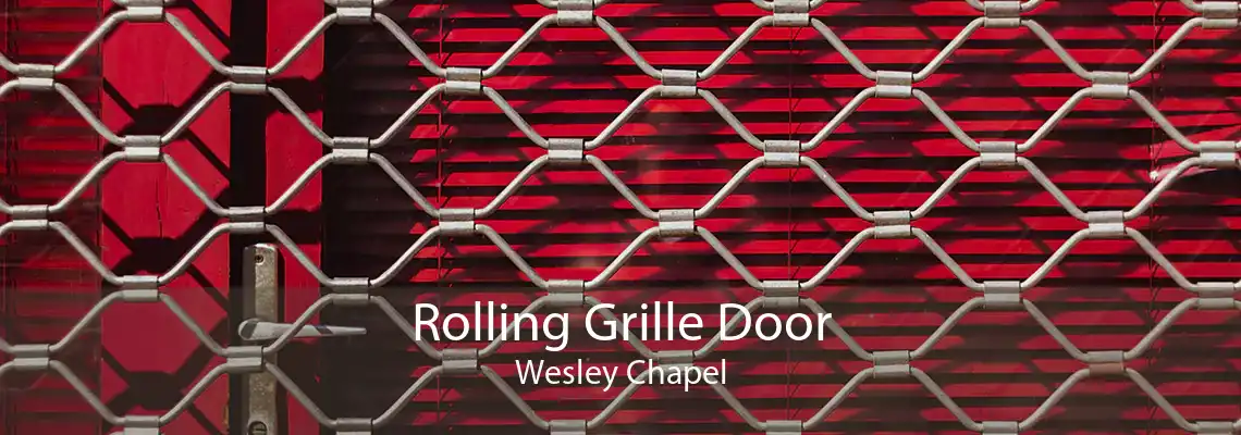 Rolling Grille Door Wesley Chapel