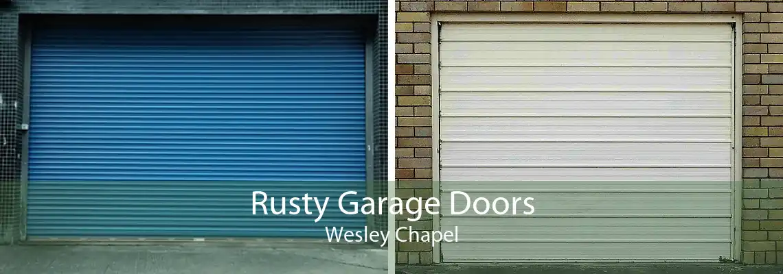 Rusty Garage Doors Wesley Chapel