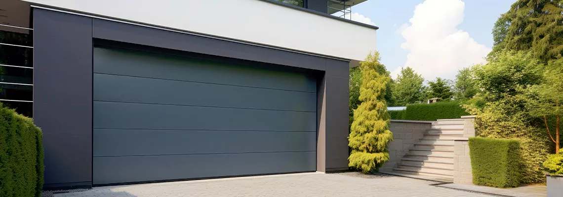 Haas Galvanized Steel Garage Door in Wesley Chapel