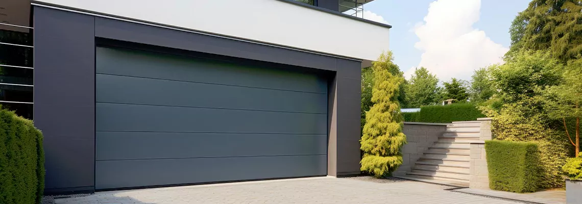 Modern Steel Garage Doors in Wesley Chapel